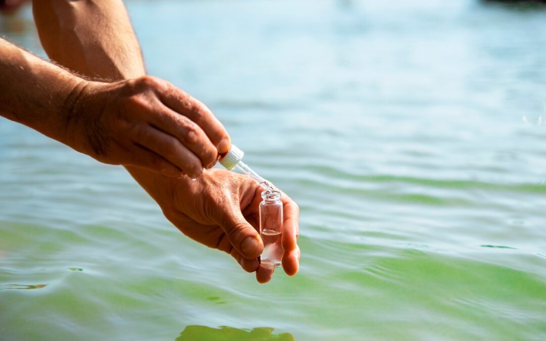 Regulaciones sobre la calidad del agua